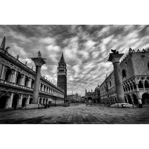 BandW San Marco White Modern Wood Framed Art Print by Head, Danny