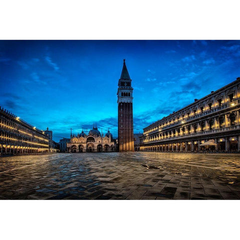 On the Square White Modern Wood Framed Art Print by Head, Danny