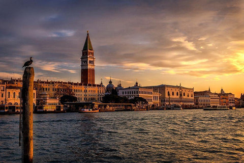 Birds View Black Ornate Wood Framed Art Print with Double Matting by Head, Danny