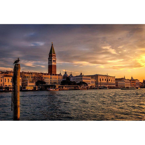 Birds View Black Modern Wood Framed Art Print by Head, Danny