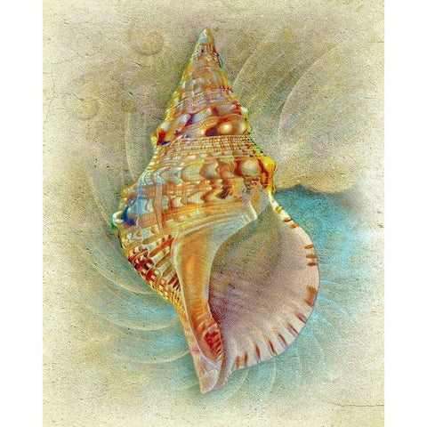 Aquatica I Black Modern Wood Framed Art Print with Double Matting by Hunziker, Steve