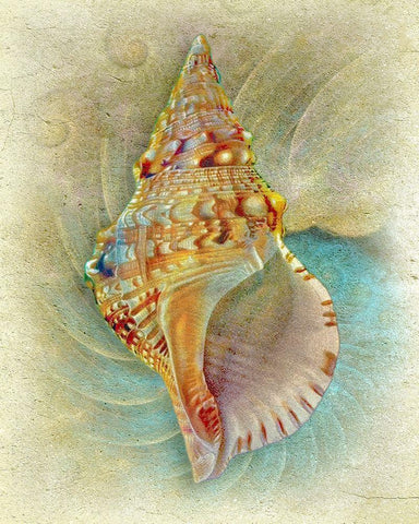 Aquatica I White Modern Wood Framed Art Print with Double Matting by Hunziker, Steve