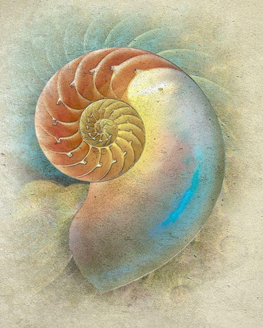 Aquatica II White Modern Wood Framed Art Print with Double Matting by Hunziker, Steve