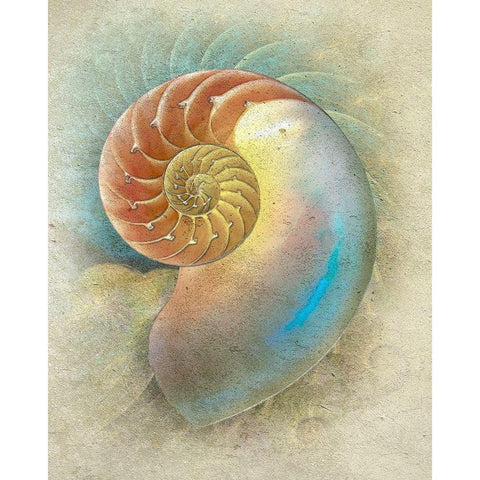 Aquatica II Black Modern Wood Framed Art Print by Hunziker, Steve