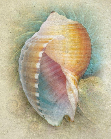 Aquatica III White Modern Wood Framed Art Print with Double Matting by Hunziker, Steve