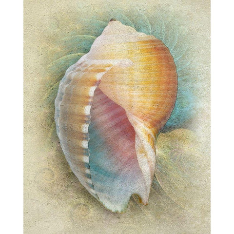 Aquatica III Black Modern Wood Framed Art Print with Double Matting by Hunziker, Steve