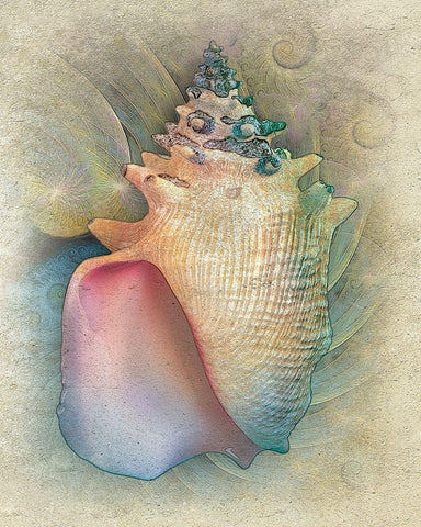 Aquatica IV White Modern Wood Framed Art Print with Double Matting by Hunziker, Steve