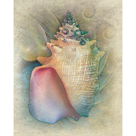 Aquatica IV Black Modern Wood Framed Art Print by Hunziker, Steve