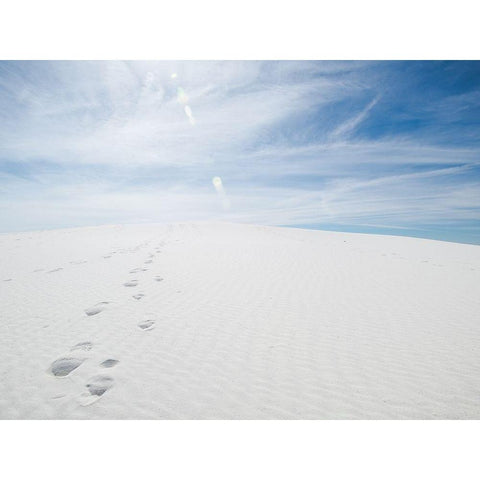 White Dunes I White Modern Wood Framed Art Print by Quintero, Sonja