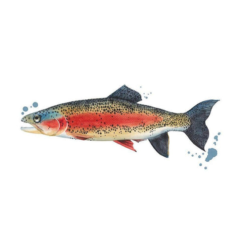 Chromatic Catch IV White Modern Wood Framed Art Print by Popp, Grace