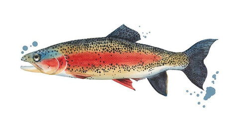 Chromatic Catch IV White Modern Wood Framed Art Print with Double Matting by Popp, Grace