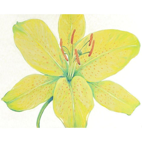 Citron Tiger Lily I Gold Ornate Wood Framed Art Print with Double Matting by OToole, Tim