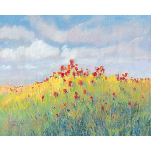 Summer Breeze Meadow II White Modern Wood Framed Art Print by OToole, Tim