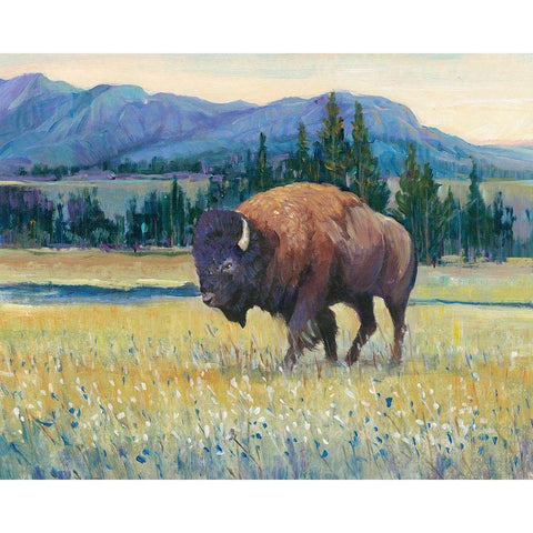 Animals of the West II White Modern Wood Framed Art Print by OToole, Tim