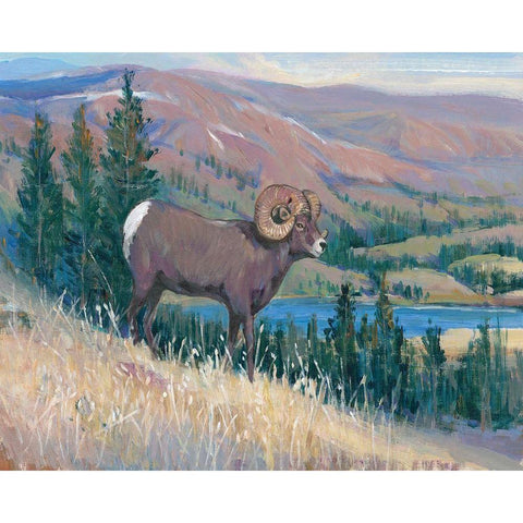 Animals of the West III Gold Ornate Wood Framed Art Print with Double Matting by OToole, Tim