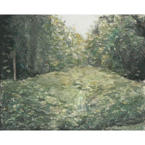 Virginia Forest I Gold Ornate Wood Framed Art Print with Double Matting by Chabot, Natasha