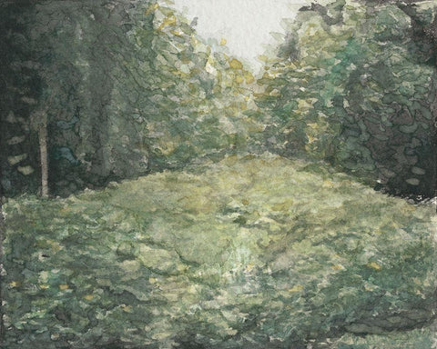 Virginia Forest I White Modern Wood Framed Art Print with Double Matting by Chabot, Natasha