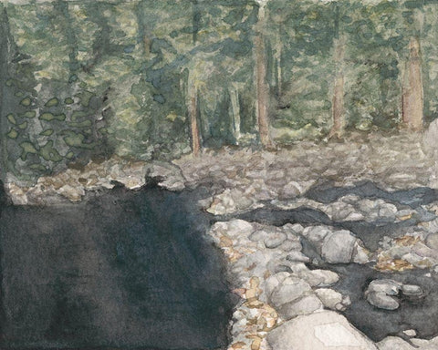 Virginia Forest II Black Ornate Wood Framed Art Print with Double Matting by Chabot, Natasha