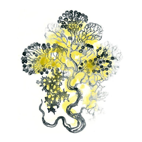 Citron Sea Kelp I Black Modern Wood Framed Art Print with Double Matting by Vess, June Erica