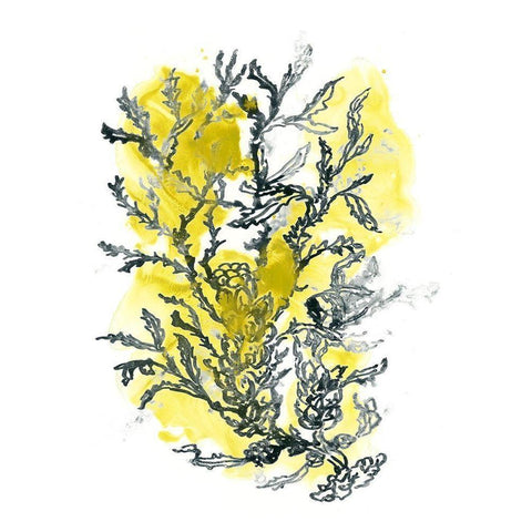 Citron Sea Kelp II Gold Ornate Wood Framed Art Print with Double Matting by Vess, June Erica