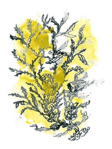Citron Sea Kelp II Black Ornate Wood Framed Art Print with Double Matting by Vess, June Erica