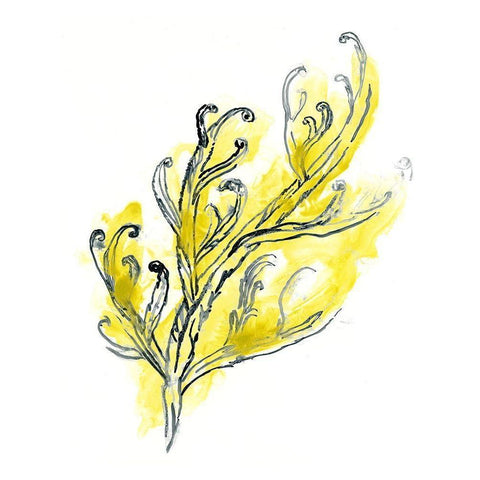 Citron Sea Kelp III Gold Ornate Wood Framed Art Print with Double Matting by Vess, June Erica