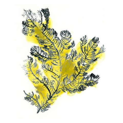 Citron Sea Kelp IV Black Modern Wood Framed Art Print with Double Matting by Vess, June Erica