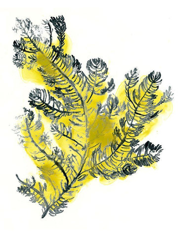 Citron Sea Kelp IV White Modern Wood Framed Art Print with Double Matting by Vess, June Erica