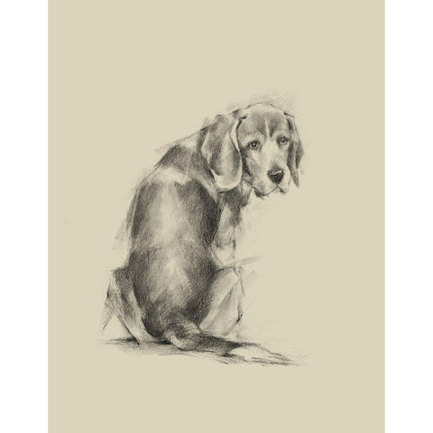 Puppy Dog Eyes I Black Modern Wood Framed Art Print with Double Matting by Harper, Ethan