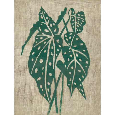 Vintage Greenery II Black Modern Wood Framed Art Print with Double Matting by Zarris, Chariklia