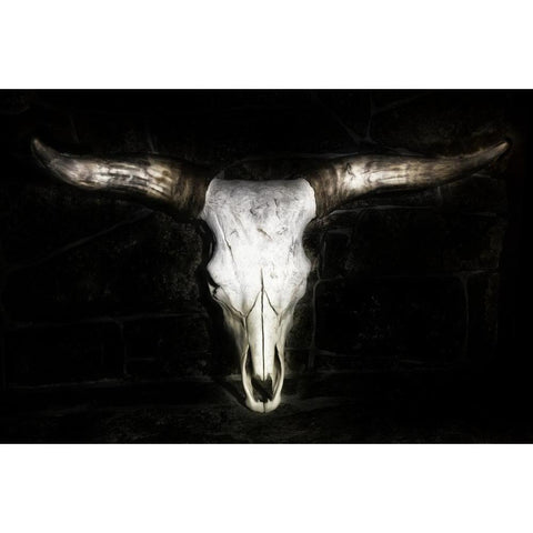 Cow Skull White Modern Wood Framed Art Print by PHBurchett