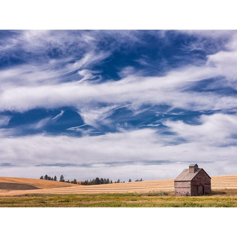 Farm and Field I Black Modern Wood Framed Art Print with Double Matting by PHBurchett