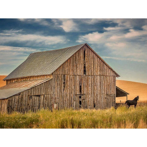 Farm and Field VI Black Modern Wood Framed Art Print with Double Matting by PHBurchett