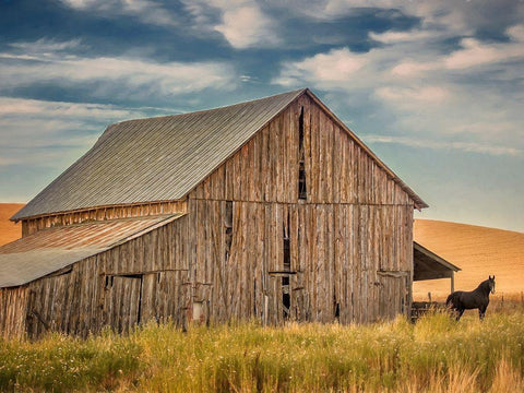 Farm and Field VI White Modern Wood Framed Art Print with Double Matting by PHBurchett