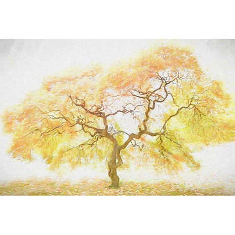 Golden Tree White Modern Wood Framed Art Print by PHBurchett