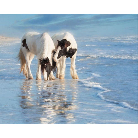 Water Horses I Black Modern Wood Framed Art Print with Double Matting by PHBurchett