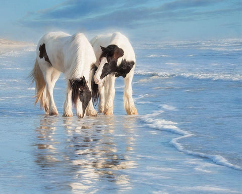 Water Horses I White Modern Wood Framed Art Print with Double Matting by PHBurchett