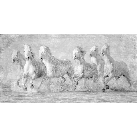 Water Horses V White Modern Wood Framed Art Print by PHBurchett