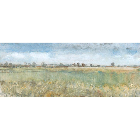 Open Field II Black Modern Wood Framed Art Print with Double Matting by OToole, Tim