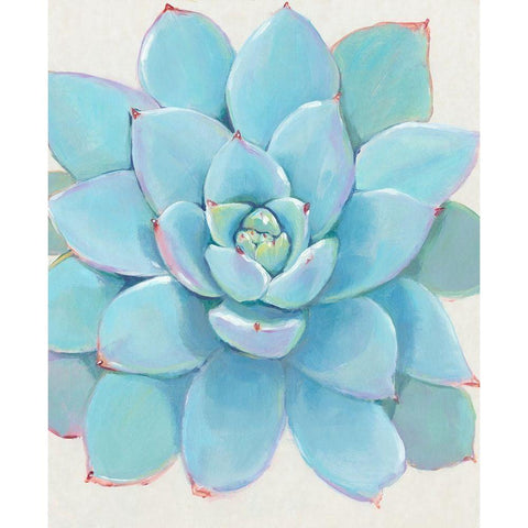 Pastel Succulent I White Modern Wood Framed Art Print by OToole, Tim