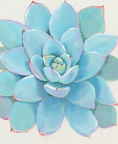 Pastel Succulent I White Modern Wood Framed Art Print with Double Matting by OToole, Tim