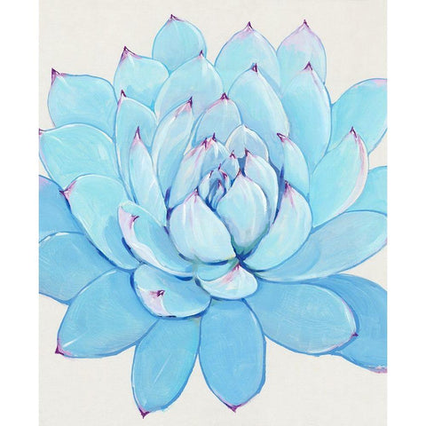 Pastel Succulent II White Modern Wood Framed Art Print by OToole, Tim