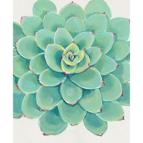 Pastel Succulent III White Modern Wood Framed Art Print by OToole, Tim