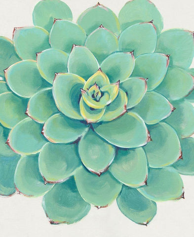 Pastel Succulent III White Modern Wood Framed Art Print with Double Matting by OToole, Tim