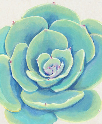 Pastel Succulent IV White Modern Wood Framed Art Print with Double Matting by OToole, Tim