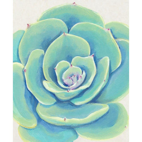 Pastel Succulent IV White Modern Wood Framed Art Print by OToole, Tim