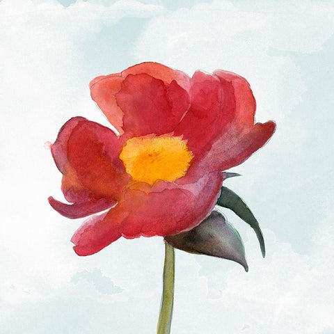 Joyful Peony I White Modern Wood Framed Art Print with Double Matting by Ludwig, Alicia