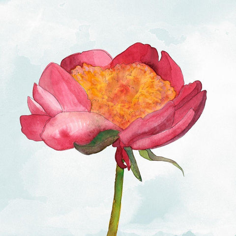Joyful Peony II Black Modern Wood Framed Art Print with Double Matting by Ludwig, Alicia