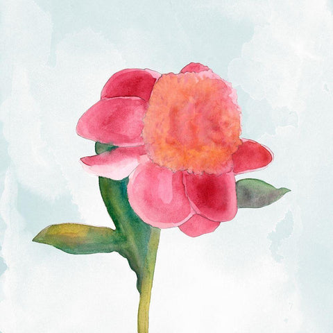 Joyful Peony III Black Modern Wood Framed Art Print by Ludwig, Alicia