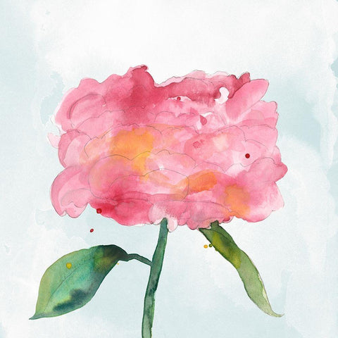 Joyful Peony IV Black Modern Wood Framed Art Print by Ludwig, Alicia